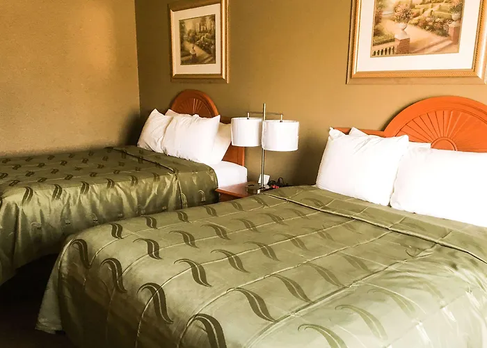 Quality Inn & Suites Lincoln Near I-55